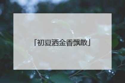 初夏洒金香飘散