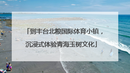 到丰台北粮国际体育小镇，沉浸式体验青海玉树文化