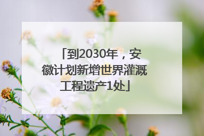 到2030年，安徽计划新增世界灌溉工程遗产1处