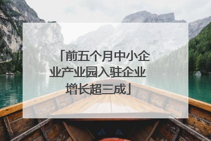 前五个月中小企业产业园入驻企业增长超三成