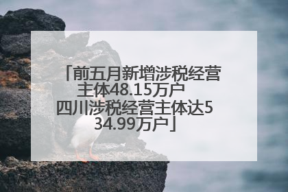 前五月新增涉税经营主体48.15万户 四川涉税经营主体达534.99万户