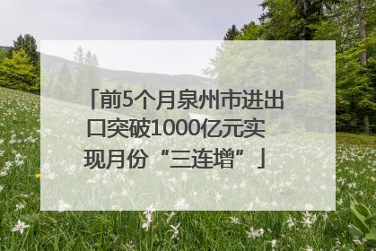 前5个月泉州市进出口突破1000亿元实现月份“三连增”