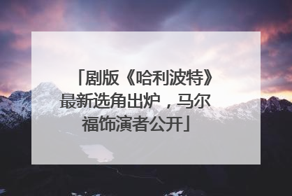 剧版《哈利波特》最新选角出炉，马尔福饰演者公开