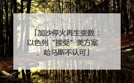 加沙停火再生变数：以色列“接受”美方案、哈马斯不认可