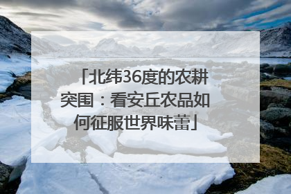 北纬36度的农耕突围：看安丘农品如何征服世界味蕾