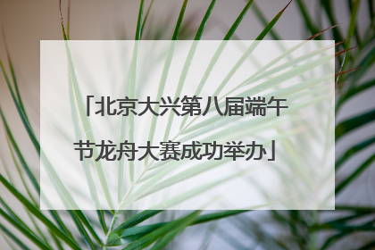 北京大兴第八届端午节龙舟大赛成功举办