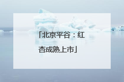 北京平谷：红杏成熟上市