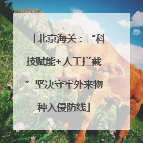北京海关：“科技赋能+人工拦截”坚决守牢外来物种入侵防线