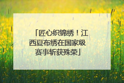 匠心织锦绣！江西夏布绣在国家级赛事斩获殊荣