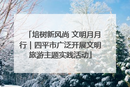 培树新风尚 文明月月行｜四平市广泛开展文明旅游主题实践活动