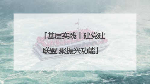 基层实践丨建党建联盟 聚振兴功能