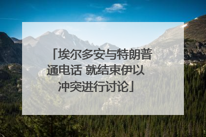 埃尔多安与特朗普通电话 就结束伊以冲突进行讨论