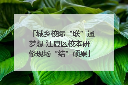 城乡校际“联”通梦想 江夏区校本研修现场“结”硕果