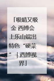 吸睛又吸金 西博会上乐山端出特色“硬菜”｜西博视界