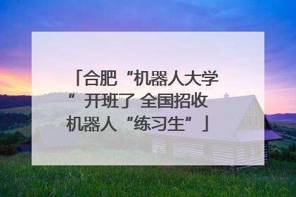 合肥“机器人大学”开班了 全国招收机器人“练习生”