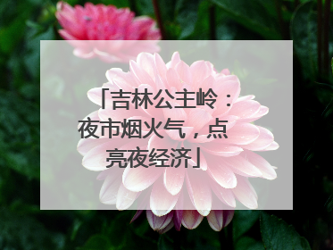 吉林公主岭：夜市烟火气，点亮夜经济