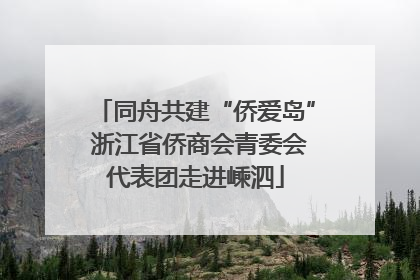 同舟共建“侨爱岛” 浙江省侨商会青委会代表团走进嵊泗