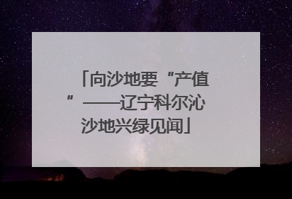 向沙地要“产值”——辽宁科尔沁沙地兴绿见闻