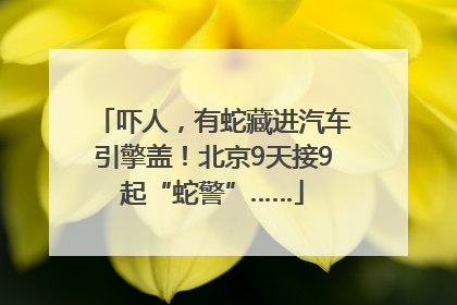 吓人，有蛇藏进汽车引擎盖！北京9天接9起“蛇警”……