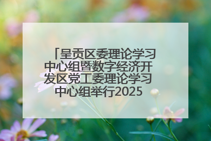 呈贡区委理论学习中心组暨数字经济开发区党工委理论学习中心组举行2025年第七次学习会议