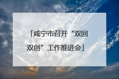 咸宁市召开“双回双创”工作推进会