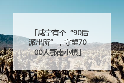 咸宁有个“90后派出所”，守望7000人鄂南小镇
