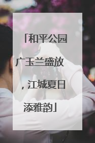 和平公园广玉兰盛放，江城夏日添雅韵