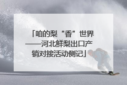 咱的梨“香”世界——河北鲜梨出口产销对接活动侧记