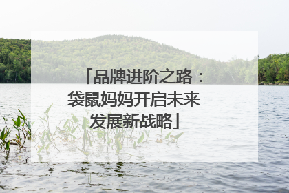 品牌进阶之路：袋鼠妈妈开启未来发展新战略
