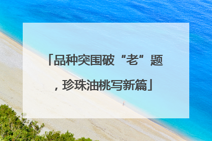 品种突围破“老”题，珍珠油桃写新篇
