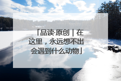 品读·原创｜在这里，永远想不出会遇到什么动物