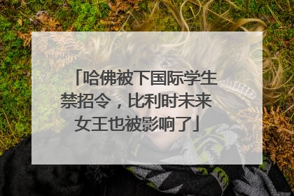 哈佛被下国际学生禁招令，比利时未来女王也被影响了