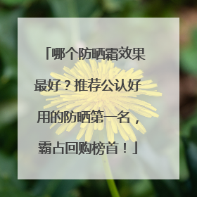 哪个防晒霜效果最好？推荐公认好用的防晒第一名，霸占回购榜首！