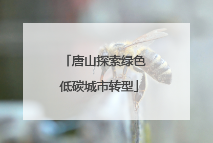 唐山探索绿色低碳城市转型