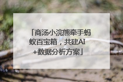 商汤小浣熊牵手蚂蚁百宝箱，共建AI+数据分析方案