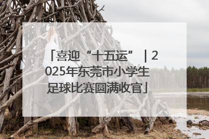 喜迎“十五运”｜2025年东莞市小学生足球比赛圆满收官
