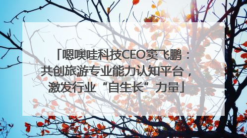 嗯噢哇科技CEO窦飞鹏：共创旅游专业能力认知平台，激发行业“自生长”力量