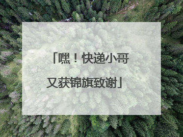 嘿！快递小哥又获锦旗致谢