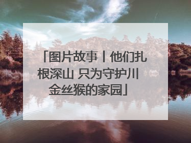 图片故事丨他们扎根深山 只为守护川金丝猴的家园