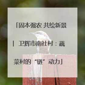 固本强农 共绘新景 ︳卫辉市南社村：蔬菜村的“链”动力