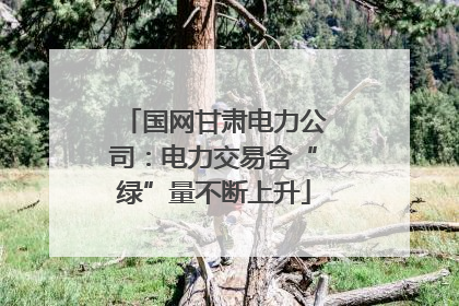 国网甘肃电力公司：电力交易含“绿”量不断上升