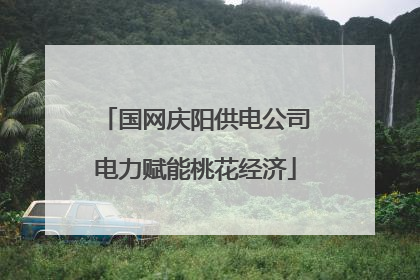 国网庆阳供电公司电力赋能桃花经济
