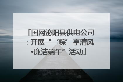 国网泌阳县供电公司：开展“‘粽’享清风 •廉洁端午”活动