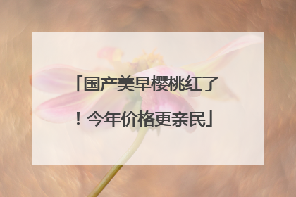国产美早樱桃红了！今年价格更亲民