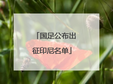 国足公布出征印尼名单