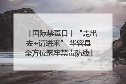 国际禁毒日丨“走出去+请进来” 华容县全方位筑牢禁毒防线