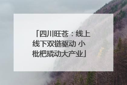 四川旺苍：线上线下双链驱动 小枇杷撬动大产业