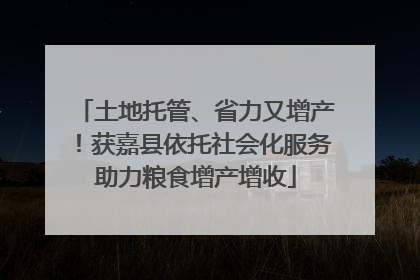 土地托管、省力又增产！获嘉县依托社会化服务助力粮食增产增收