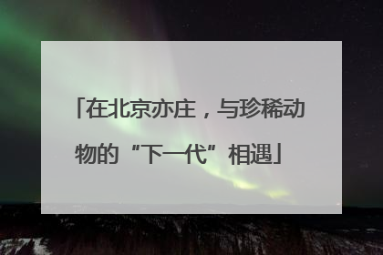 在北京亦庄，与珍稀动物的“下一代”相遇