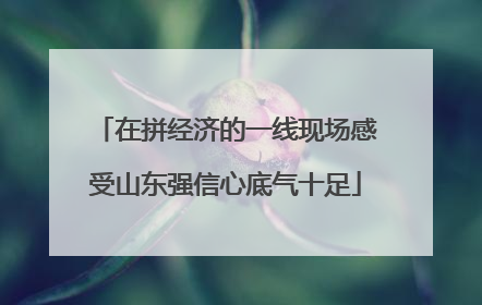 在拼经济的一线现场感受山东强信心底气十足